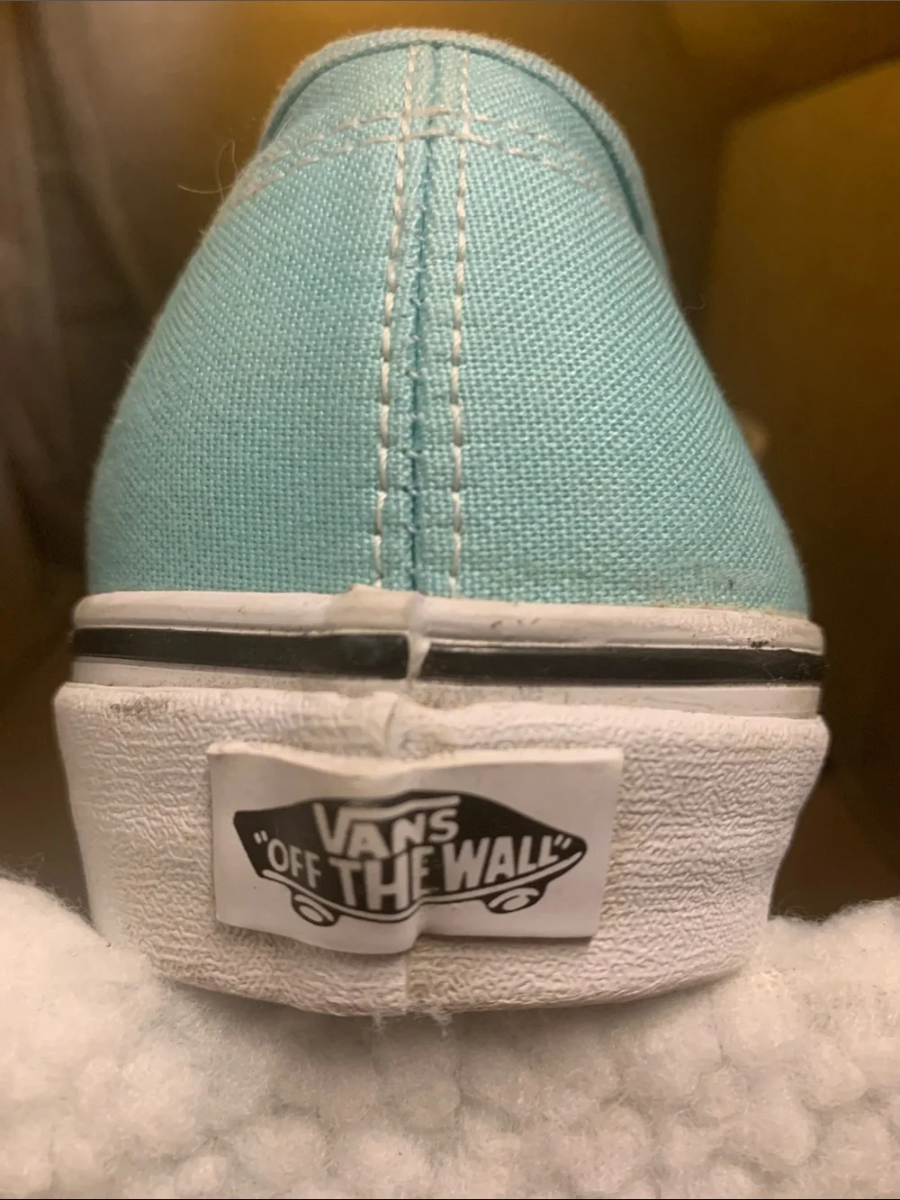 Vans Low-Top Sneakers in Aqua Blue with White Laces